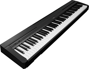 Yamaha P-45B -   88.  ( , )  - 
