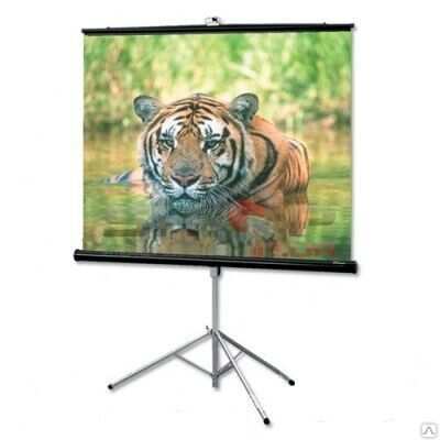  Экран для проекции Diplomat NTSC (3:4) 305/120" (10') 175*234 MW (XT1000E)