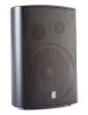 Roxton MS-80TB Акустическая система 80/40/20/10 Вт и 8 Ом,Черный цвет, кронштейн для крепления