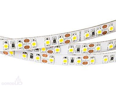 Arlight Лента RT2-3528-120 (600 LED) White