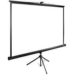 Экран для проектора Cactus TriExpert CS-PSTE-220X220-BK [1:1, 220x220 см, напольный, штатив,
