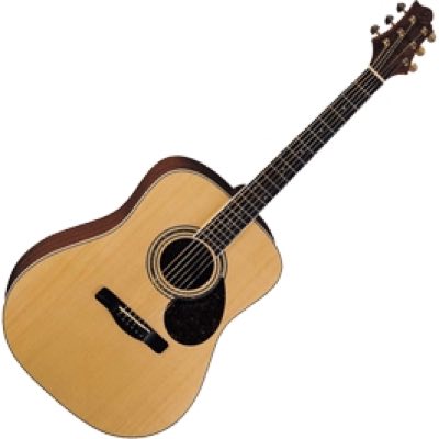 GregBennett D6