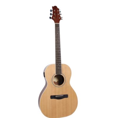 GregBennett P2T/N