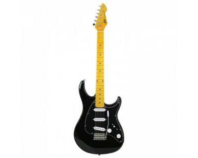 Peavey Raptor Custom Black