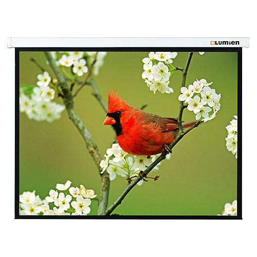 Настенный проекционный экран Lumien Master Picture (LMP-100109) 153x203 см