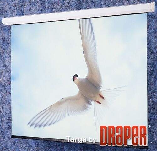 Экран Targa HDTV (9:16) 234/92" 114*203 HCG ebd 12" case white