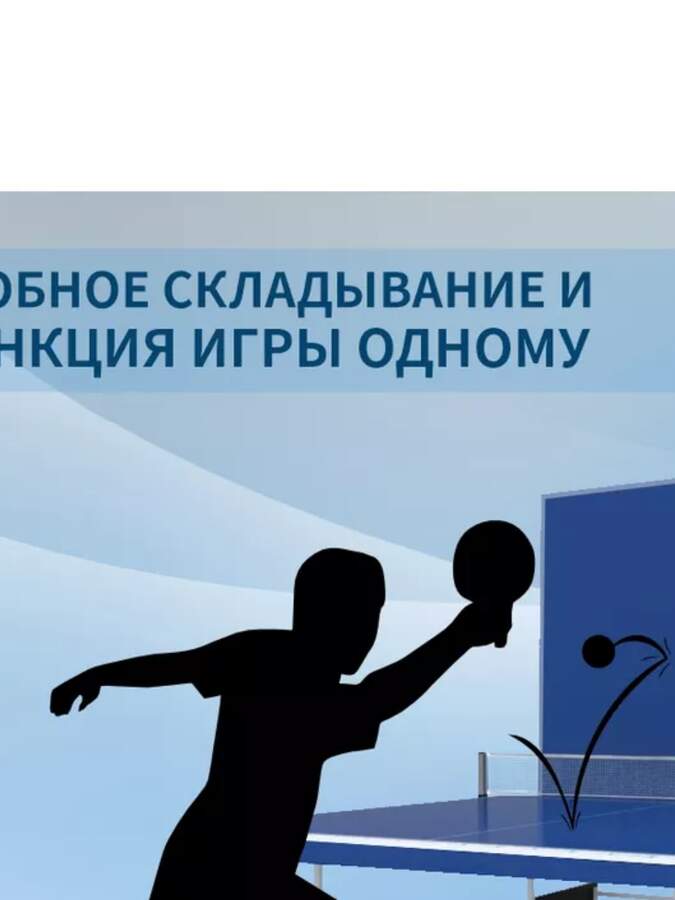 Стол теннисный с сеткой Olympic Start Line 274*152*76 полноразмерный