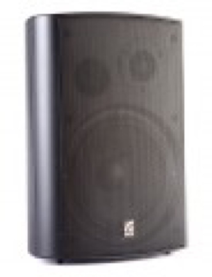 Roxton MS-80TB Акустическая система 80/40/20/10 Вт и 8 Ом,Черный цвет, кронштейн для крепления