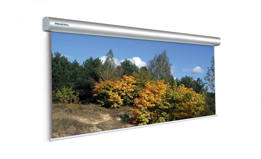 Экран Projecta Master Electrol 375х500см (246") Matte White [10130238] 