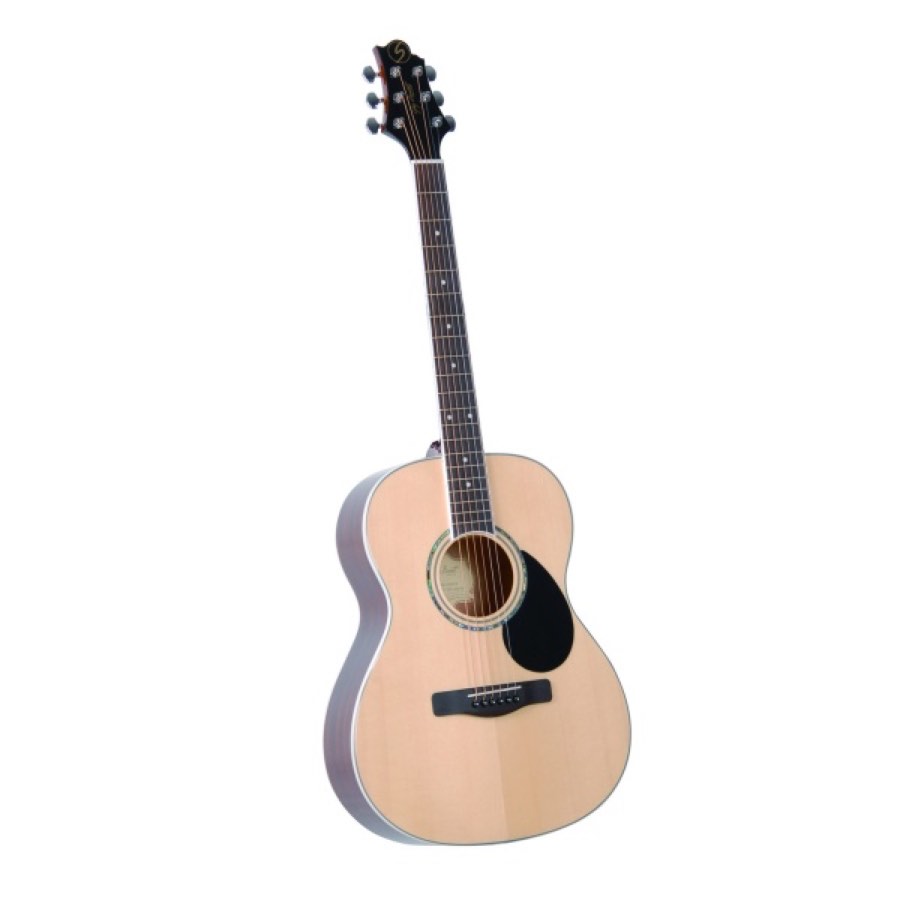 GregBennett GA100S/N