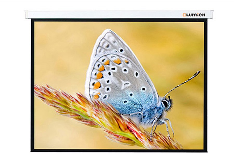 Проекционный экран с электроприводом Lumien Master Control (LMC-100123) 229x400 см