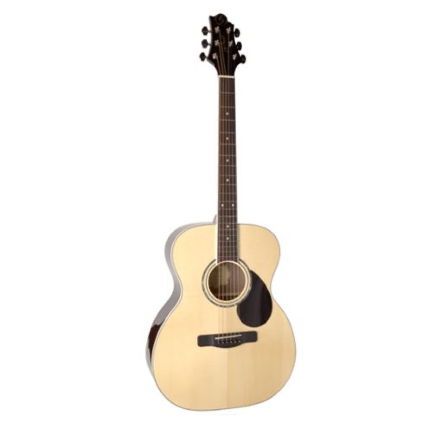 GregBennett GOM100S/N