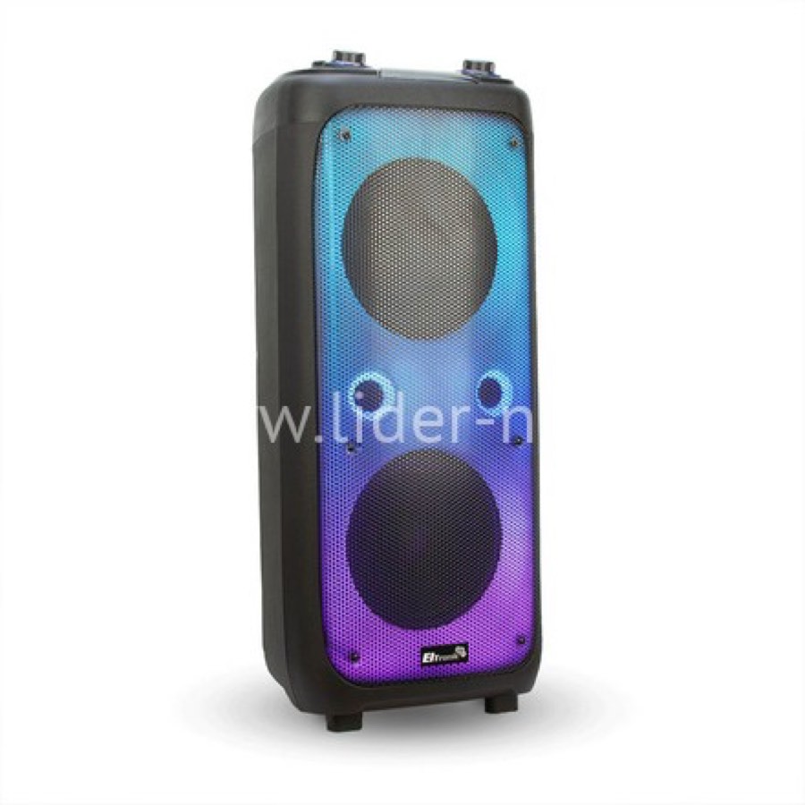 Колонка ELTRONIC 10" (20-62 FIRE BOX 1000) динамик 2шт/10" с TWS