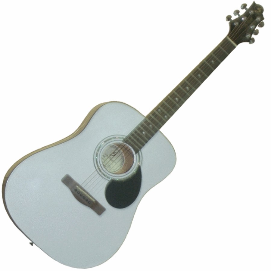 GregBennett D1/PW