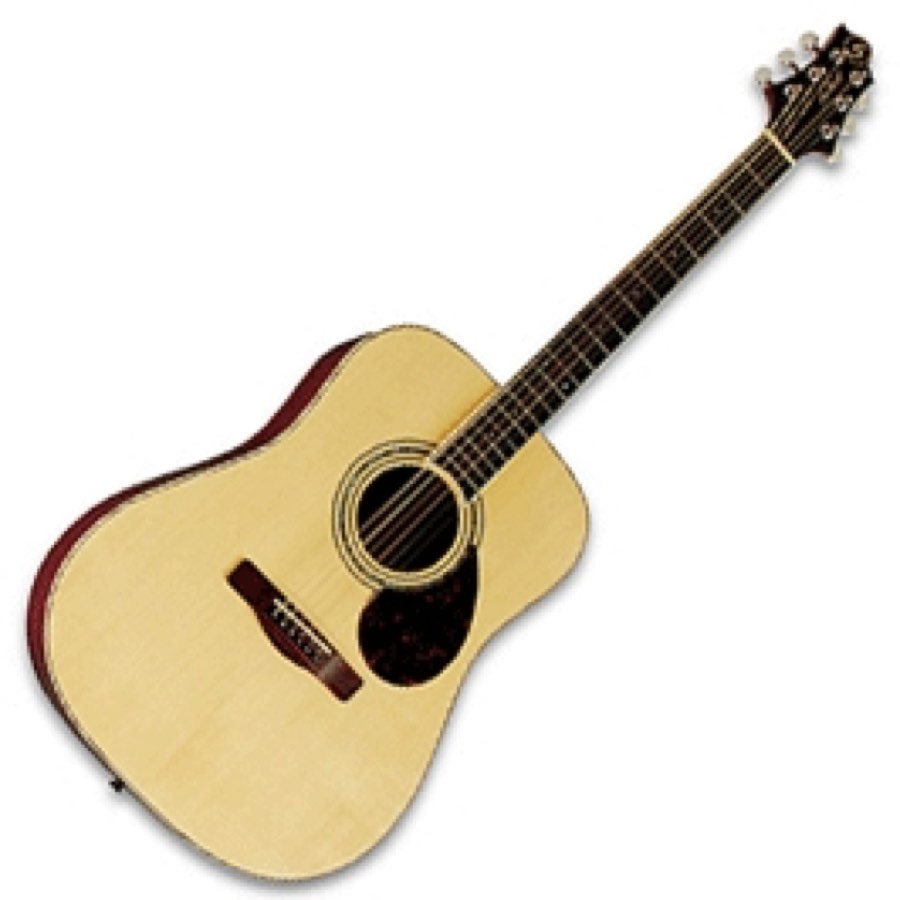 GregBennett D5