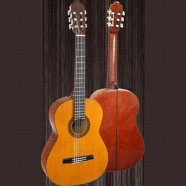 Valencia CG170w/b - Классическая гитара