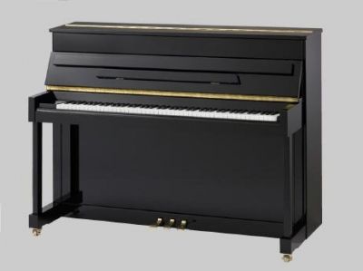 Pearl River EU110 A112 Акустическое пианино цвет черный