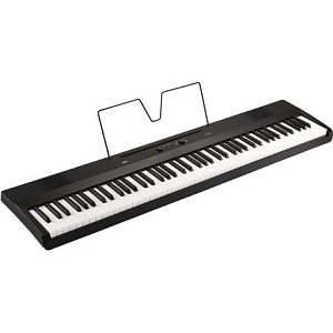   KORG L1 BK, 88 ,  .     